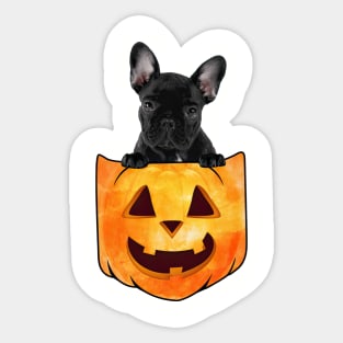 French Bulldog Dog In Pumpkin Pocket Halloween Sticker